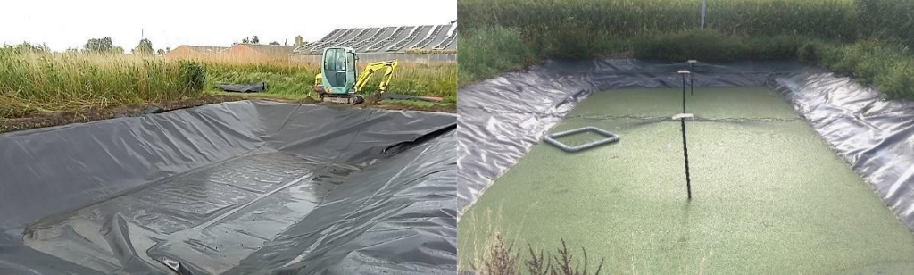 Lemna minor pond plastic lining installation and filled beds